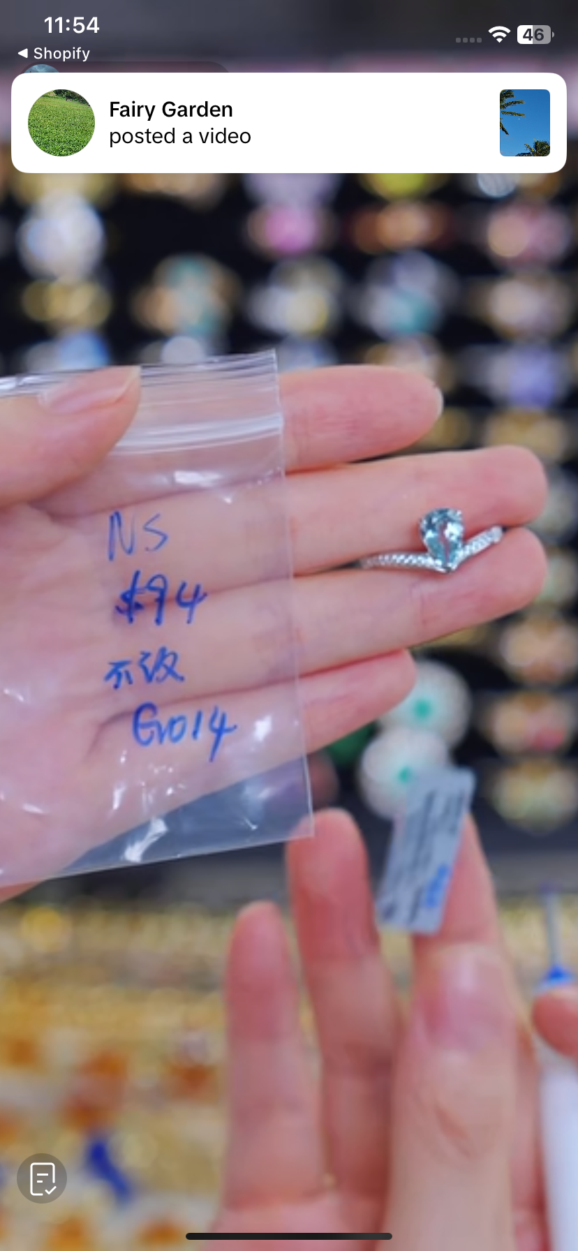 G014 lily
