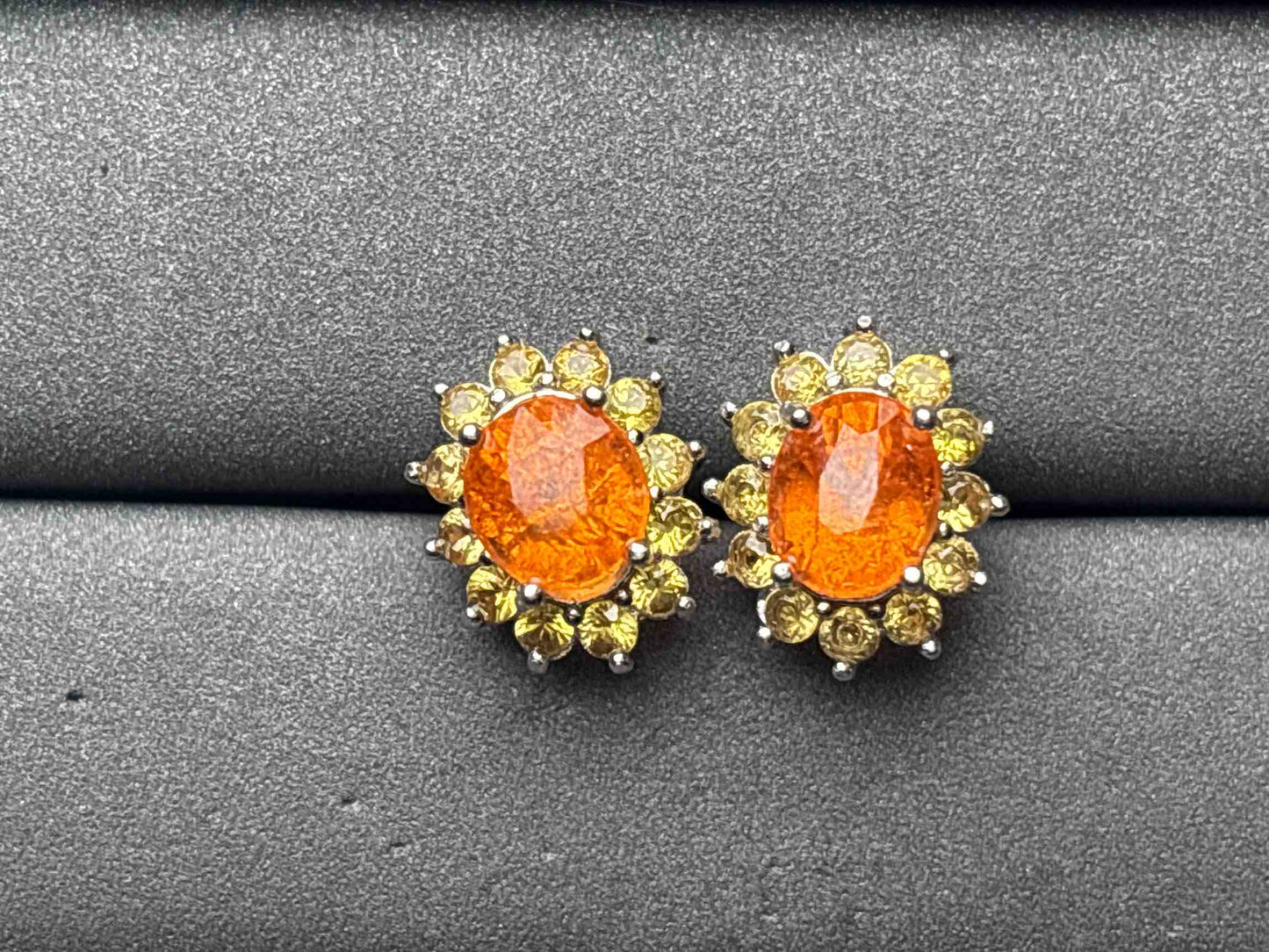 A11622 Fanta Earrings