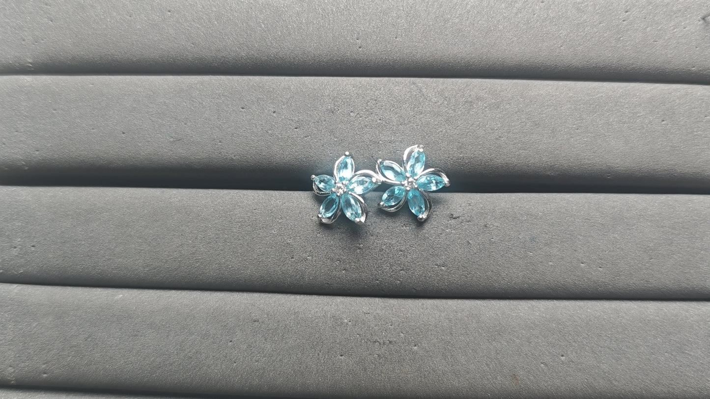A13592 Apatite Earrings
