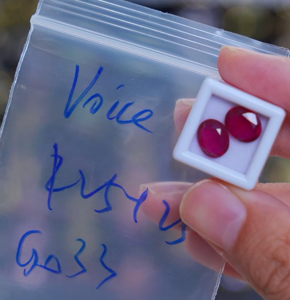 G033 cassie Voice new way heated