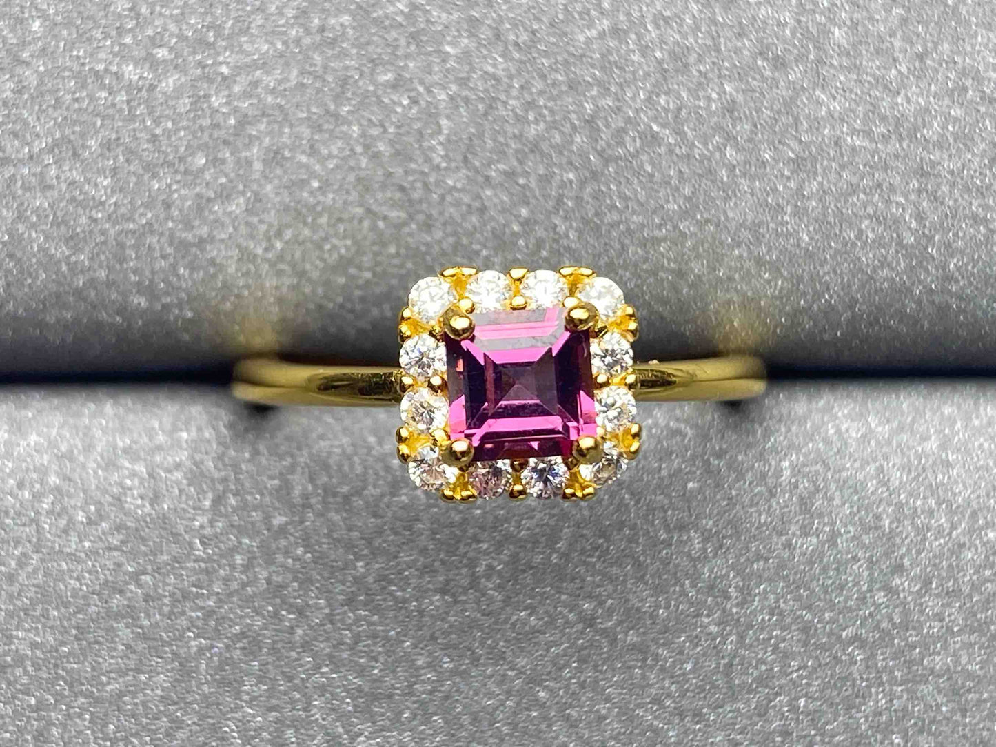 2920 Garnet Ring
