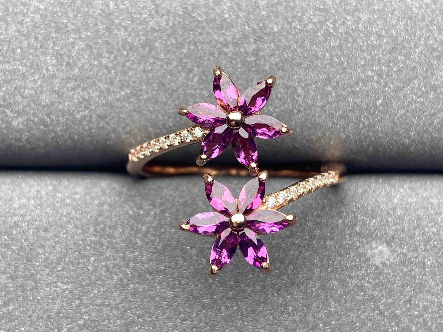 4715 Garnet Ring