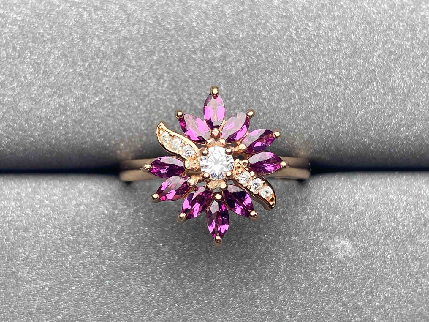 4727 Garnet Ring