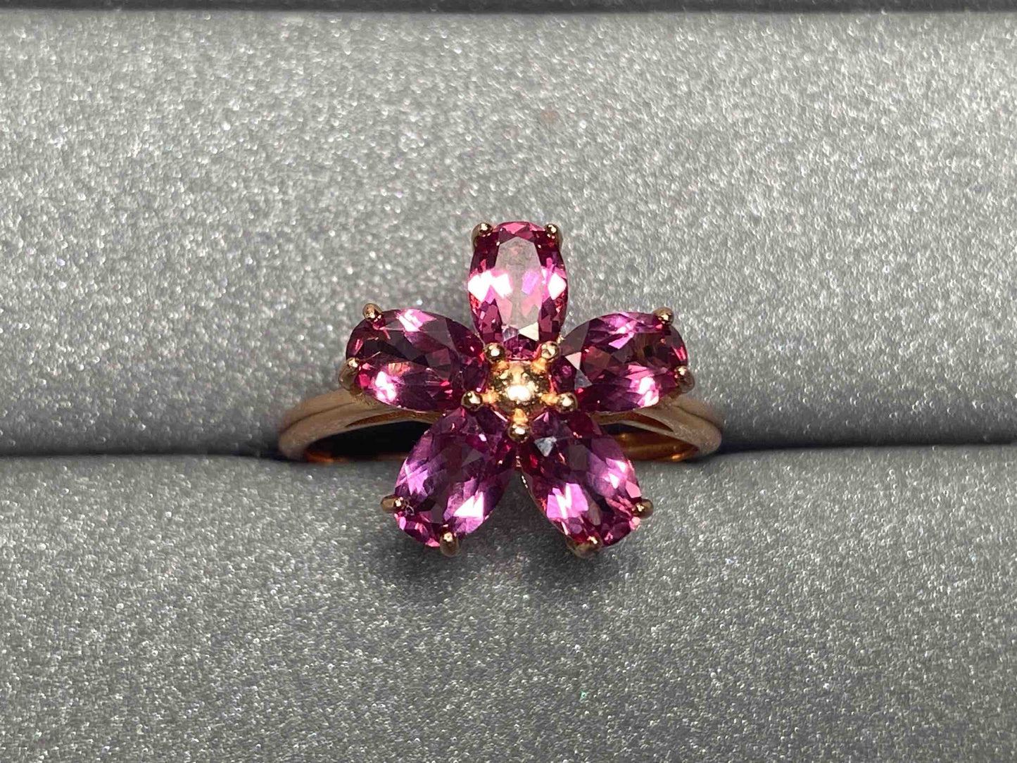 4826 Garnet Ring