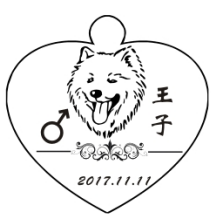 Cat and dog tag