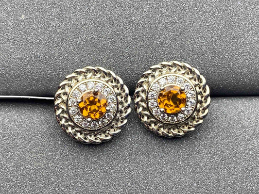 A643 Garnet Earrings