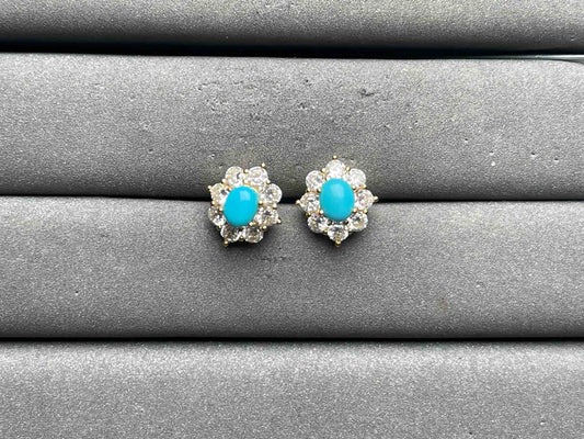 A12010 Turquoise Earrings