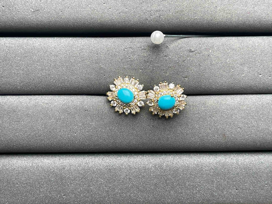 A12017 Turquoise Earrings