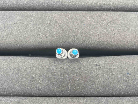 A13338 Turquoise Earrings