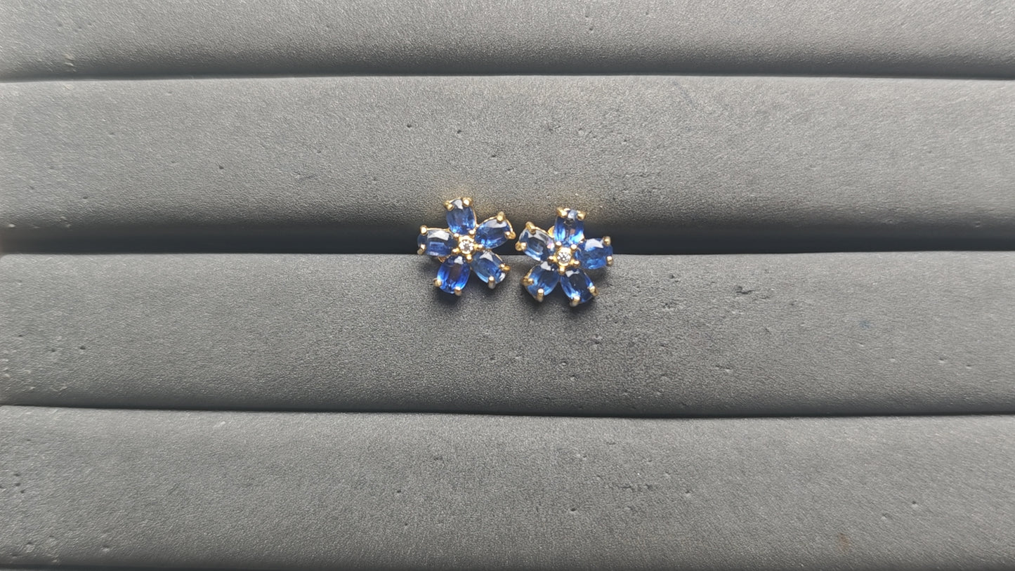 A13599 Sapphire Earrings