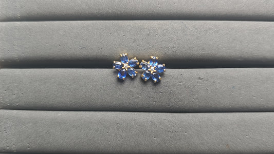 A13599 Sapphire Earrings