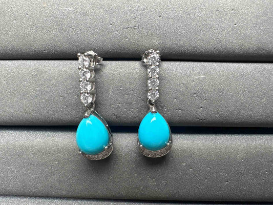 A14896 Turquoise Earrings