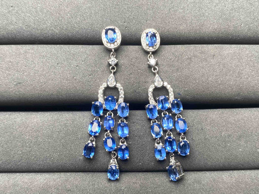 A15091 Kyanite Earrings