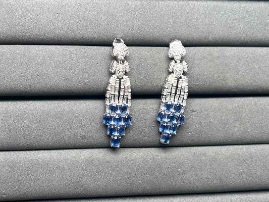 A15595 Kyanite Earrings