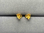 A3007 Setting Earrings