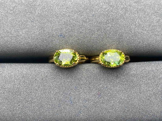 A5112 Tourmaline Earrings