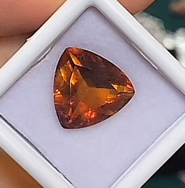 G228 Cassie Ali 6 cts 13*13*7.3