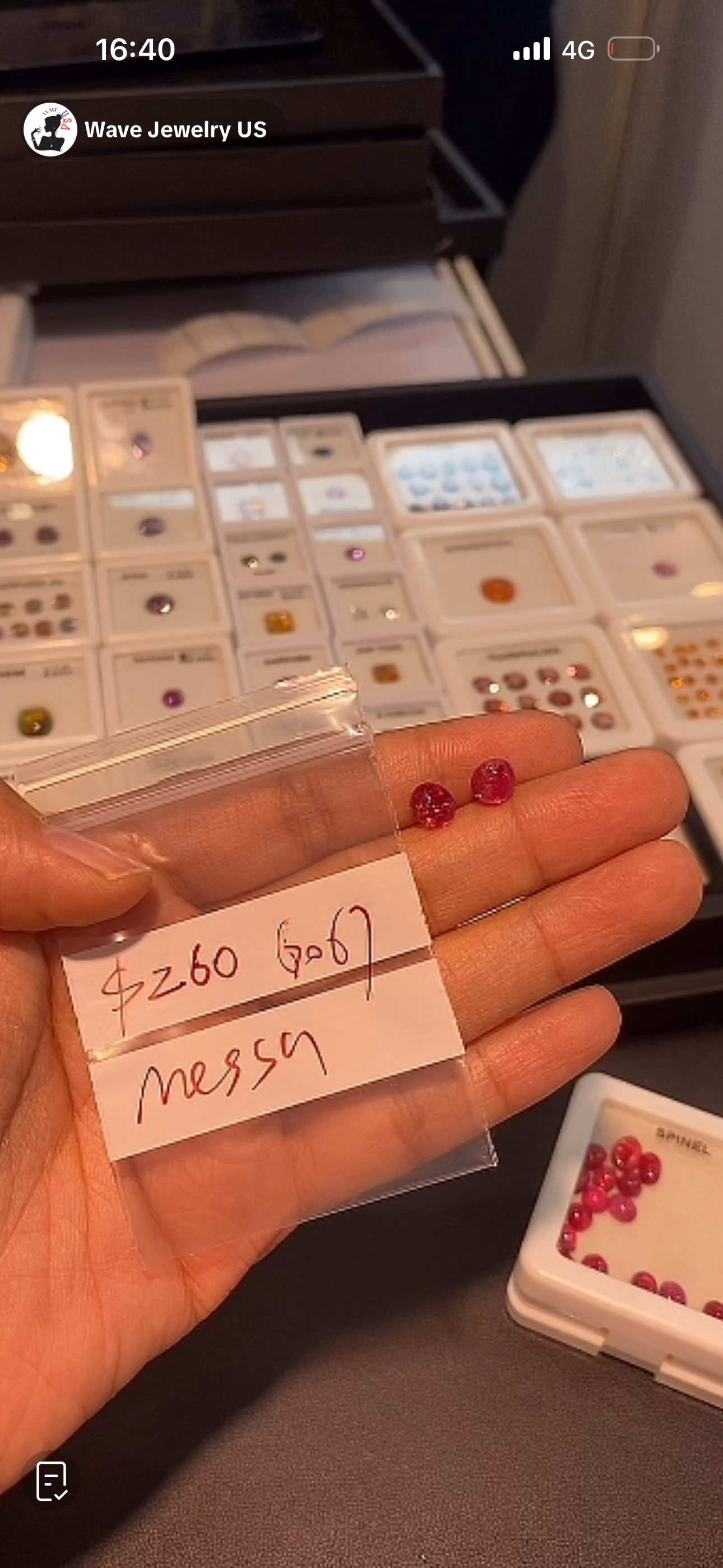 G067 Gail  Messa(HK refunds are not supported)
