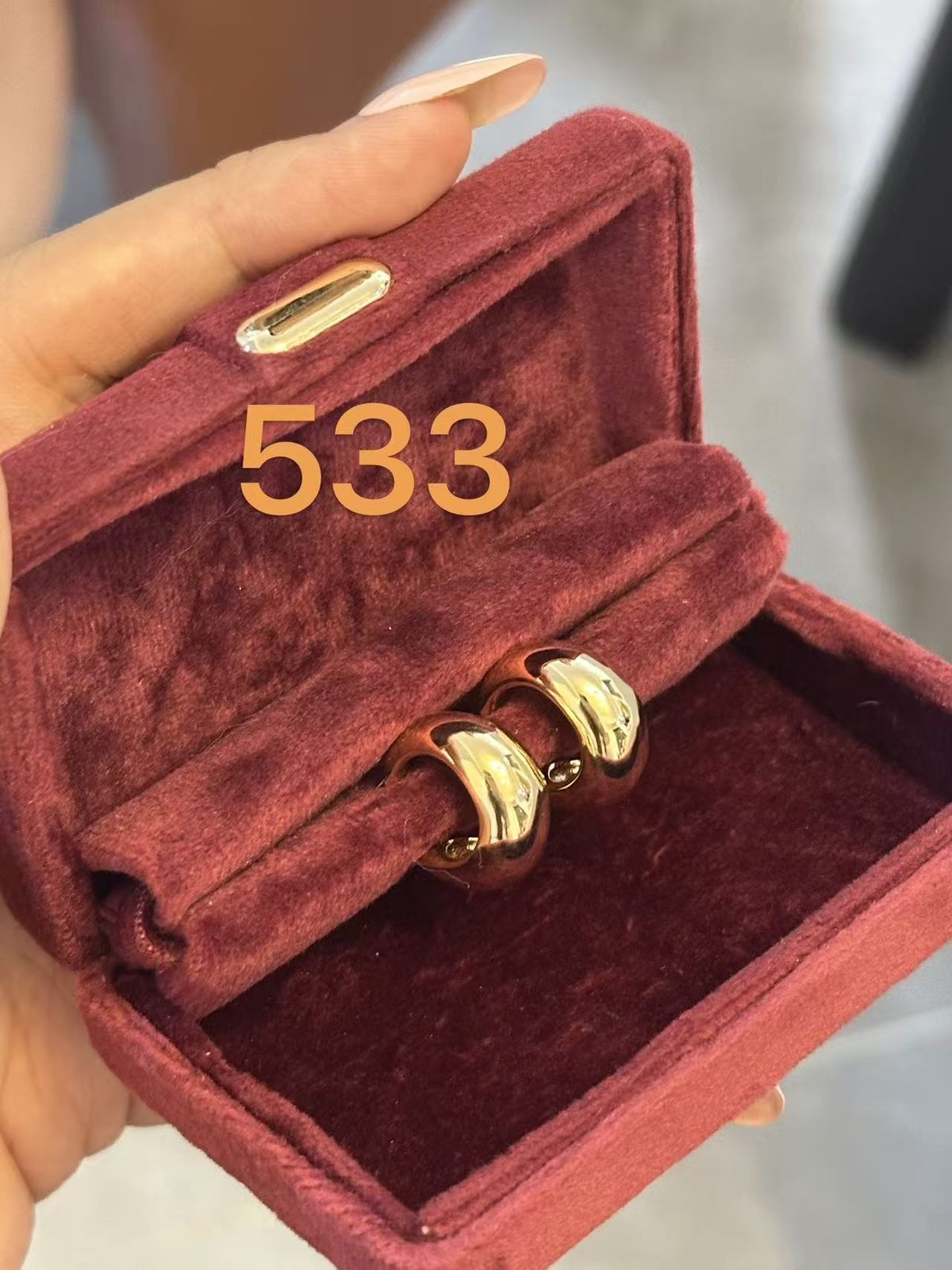 BS010 S925 Silver Earrings