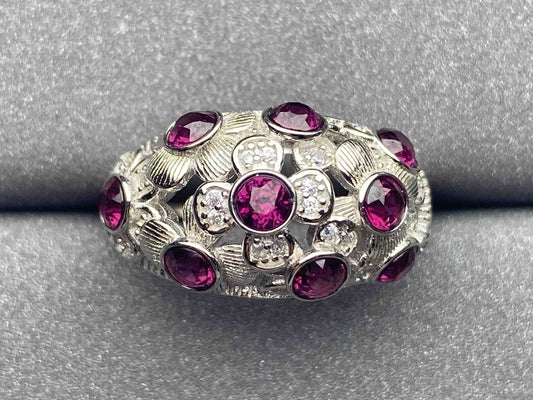 3243 Garnet Ring