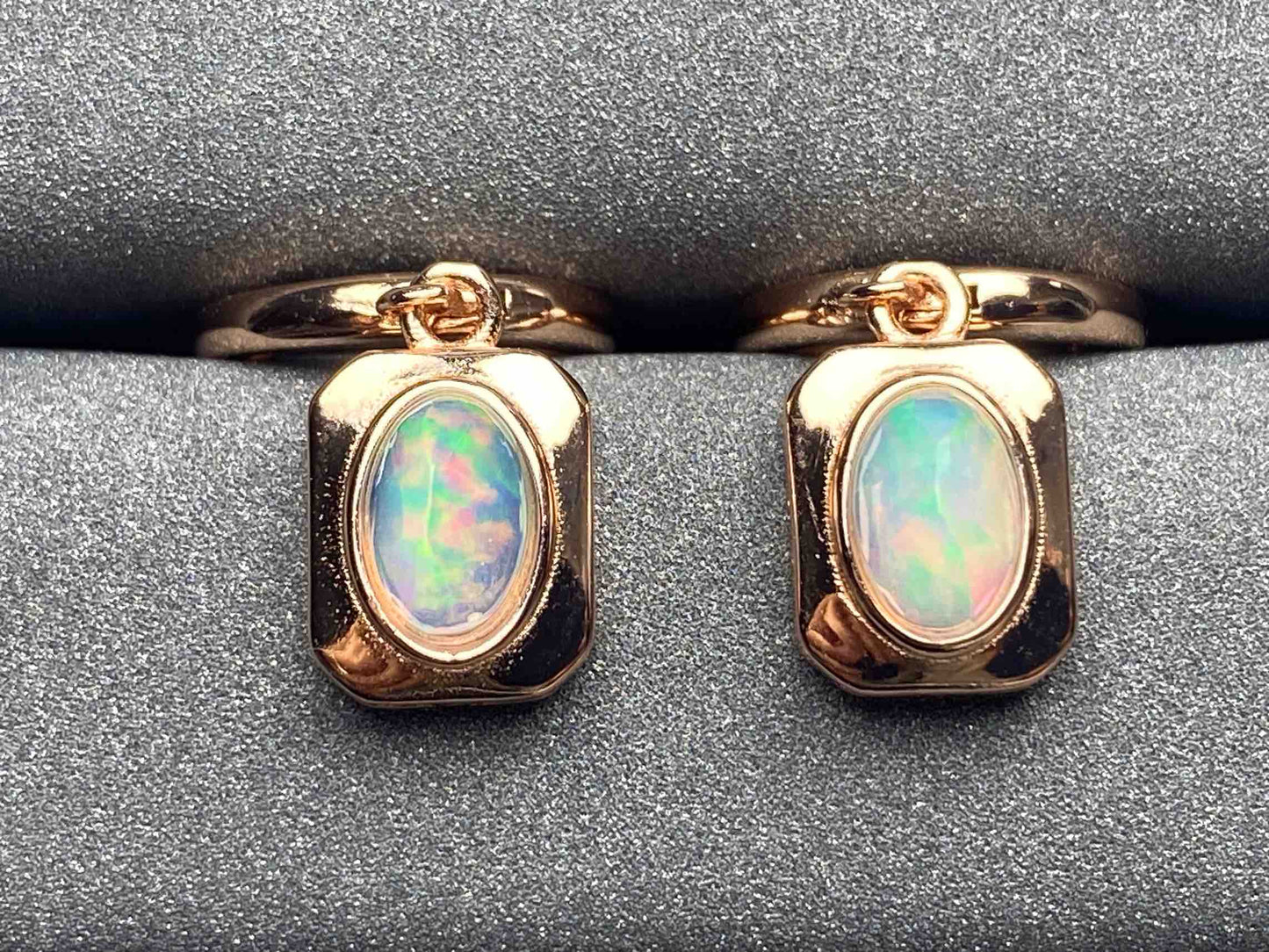 3442 Opal Earrings