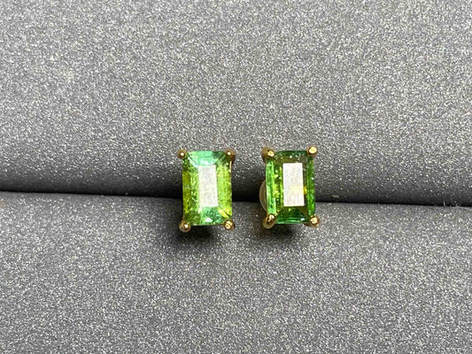 3620 Tourmaline Earrings