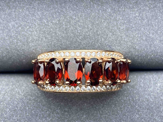 3795 Garnet Ring