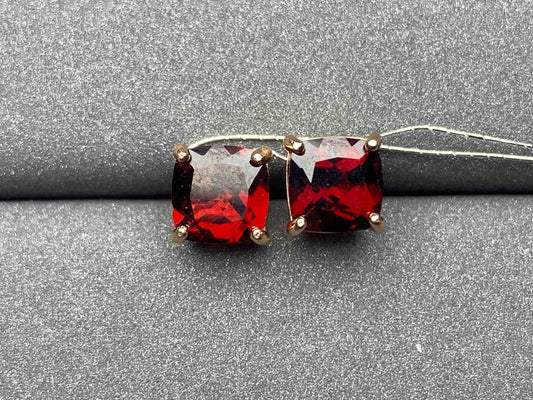 4869 Garnet Earrings